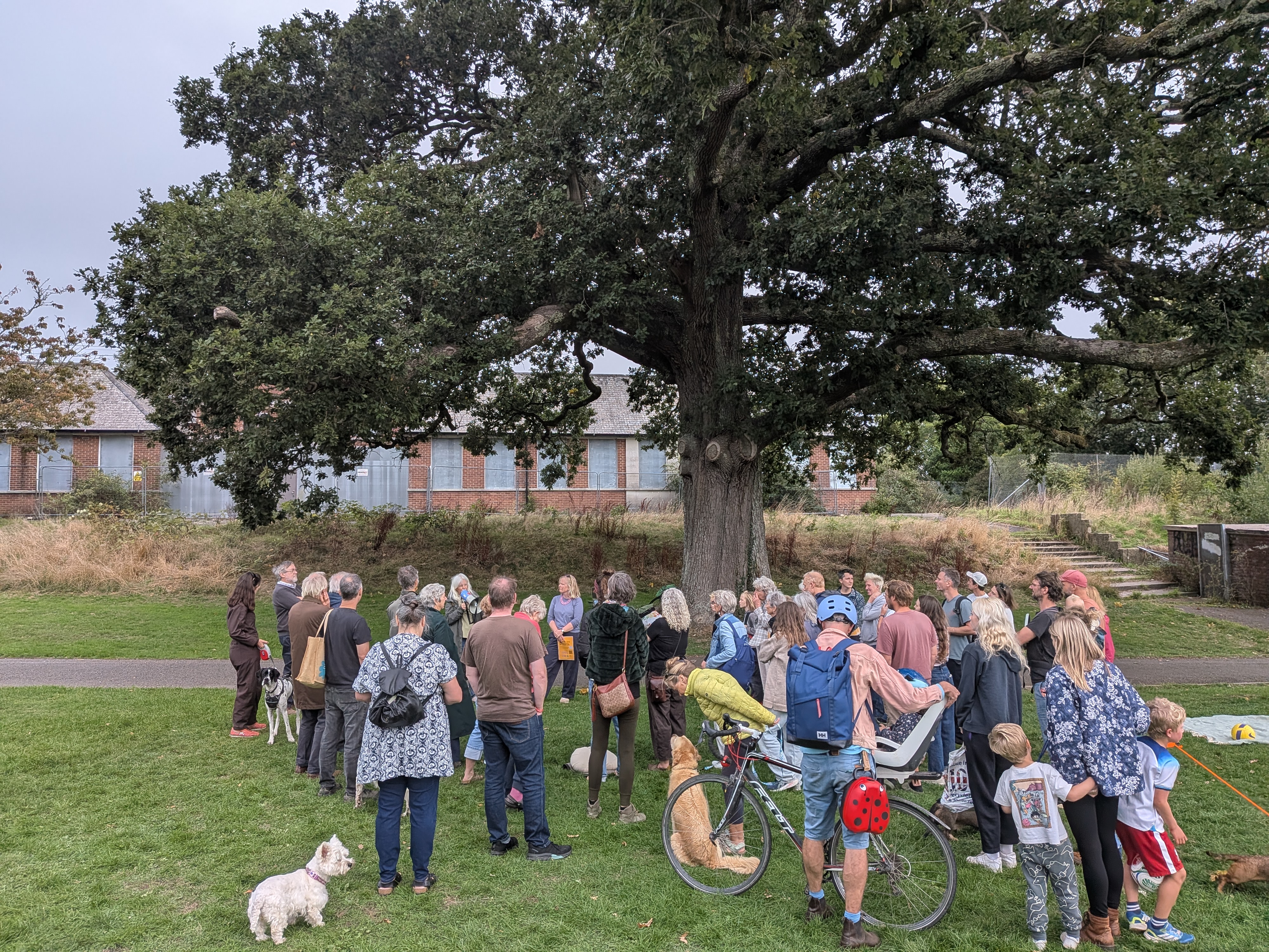 Community members gather around the old oak on Lower Field